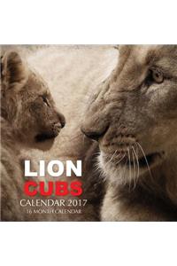 Lion Cubs Calendar 2017
