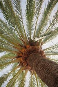 Leaning Against a Palm Tree Looking Up at the Sky Tropical Vacation Journal