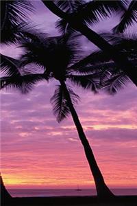 Palm Trees Sky Sunrise Sunset Journal