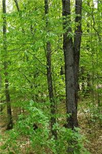 Journal Springtime Woods