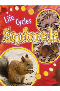Squirrels