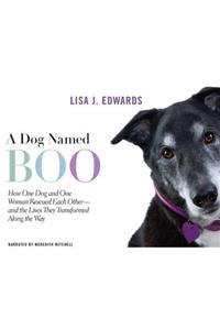 Dog Named Boo