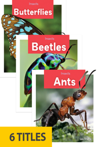 Insects (Set of 6)
