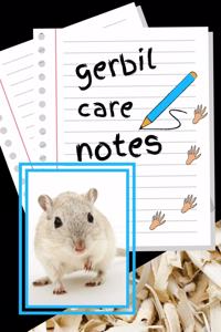 Gerbil Care Notes
