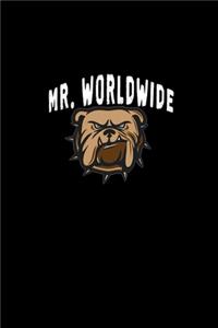 Mr. World Wide