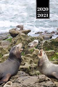 Seal Manatee Sea Lion Cow Walrus Dugong Week Planner Weekly Organizer Calendar 2020 / 2021 - Talk among Friends