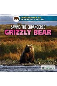Saving the Endangered Grizzly Bear