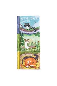 In the Forest: Look Up, Look Around, Look Down