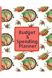 Budget & Spending Planner