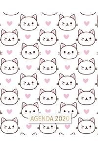 Agenda 2020