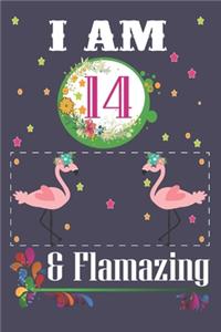 I'm 14 & Flamazing