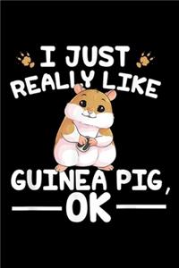 I Just Really Like Pigs, Ok?