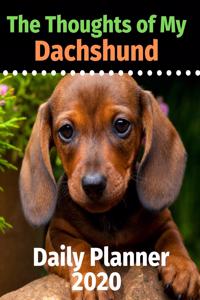 The Thoughts of My Dachshund