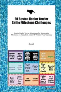 20 Boston Heeler Terrier Selfie Milestone Challenges