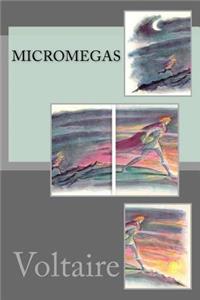 Micromegas