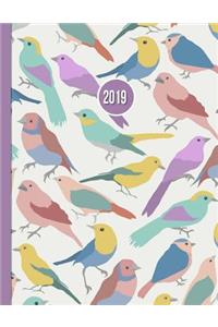 2019 Planner; Rainbow Birds