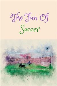 The Fun of Soccer