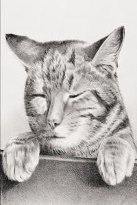 Kitten Notebook