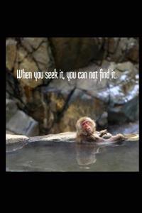 When You Seek It, You Can Not Find It