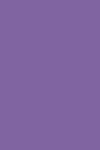 Deluge Purple 190 - Cornell Notes Notebook