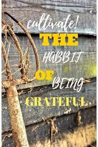 Cultivate The Habit Of Being Grateful
