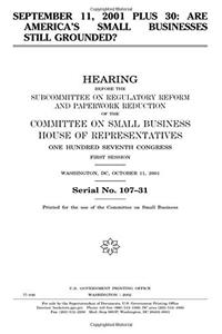 September 11, 2001 Plus 30: Are Americas Small Businesses Still Grounded?