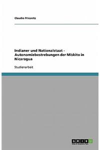 Indianer und Nationalstaat - Autonomiebestrebungen der Mískito in Nicaragua