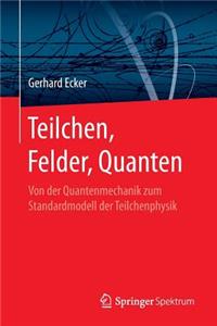 Teilchen, Felder, Quanten