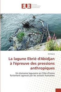 La Lagune Ebrié Dabidjan À Lépreuve Des Pressions Anthropiques