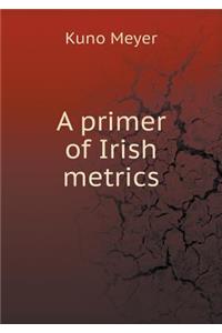 A Primer of Irish Metrics