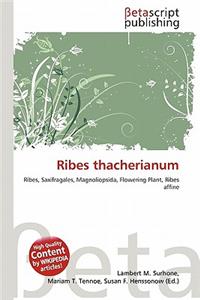 Ribes Thacherianum