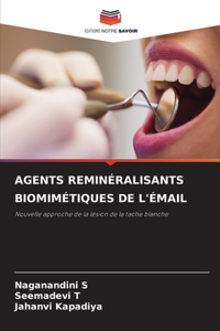 Agents Reminéralisants Biomimétiques de l'Émail