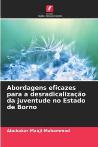 Abordagens eficazes para a desradicalização da juventude no Estado de Borno