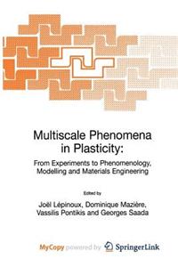 Multiscale Phenomena in Plasticity