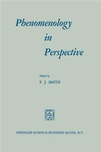 Phenomenology in Perspective