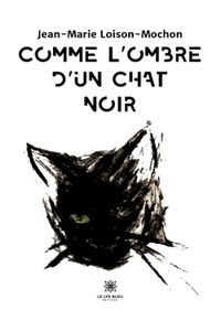 Comme l'ombre d'un chat noir