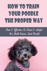 How To Train Your Poodle The Proper Way