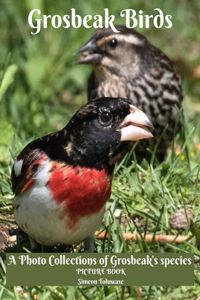 Grosbeak Birds A Photo Collections of Grosbeak's Species Picture Book