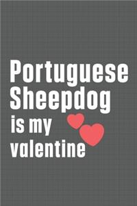 Portuguese Sheepdog is my valentine: For Portuguese Pointer Dog Fans