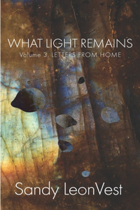 What Light Remains