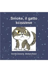 Smoke, il gatto scozzese