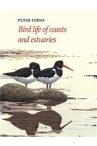 Bird Life of Coasts and Estuaries