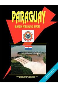Paraguay Business Intelligence Report