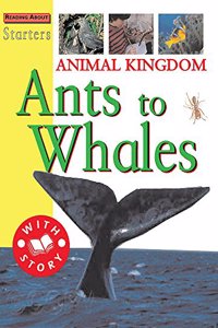 Animal Kingdom-Ants To Whale