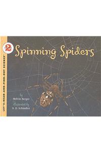 Spinning Spiders
