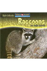 Raccoons Are Night Animals