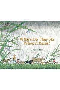 Where Do They Go When It Rains?