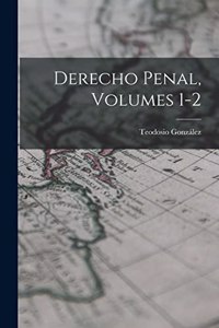 Derecho Penal, Volumes 1-2
