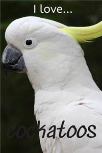 I Love Cockatoos