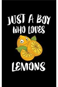 Just A Boy Who Loves Lemons